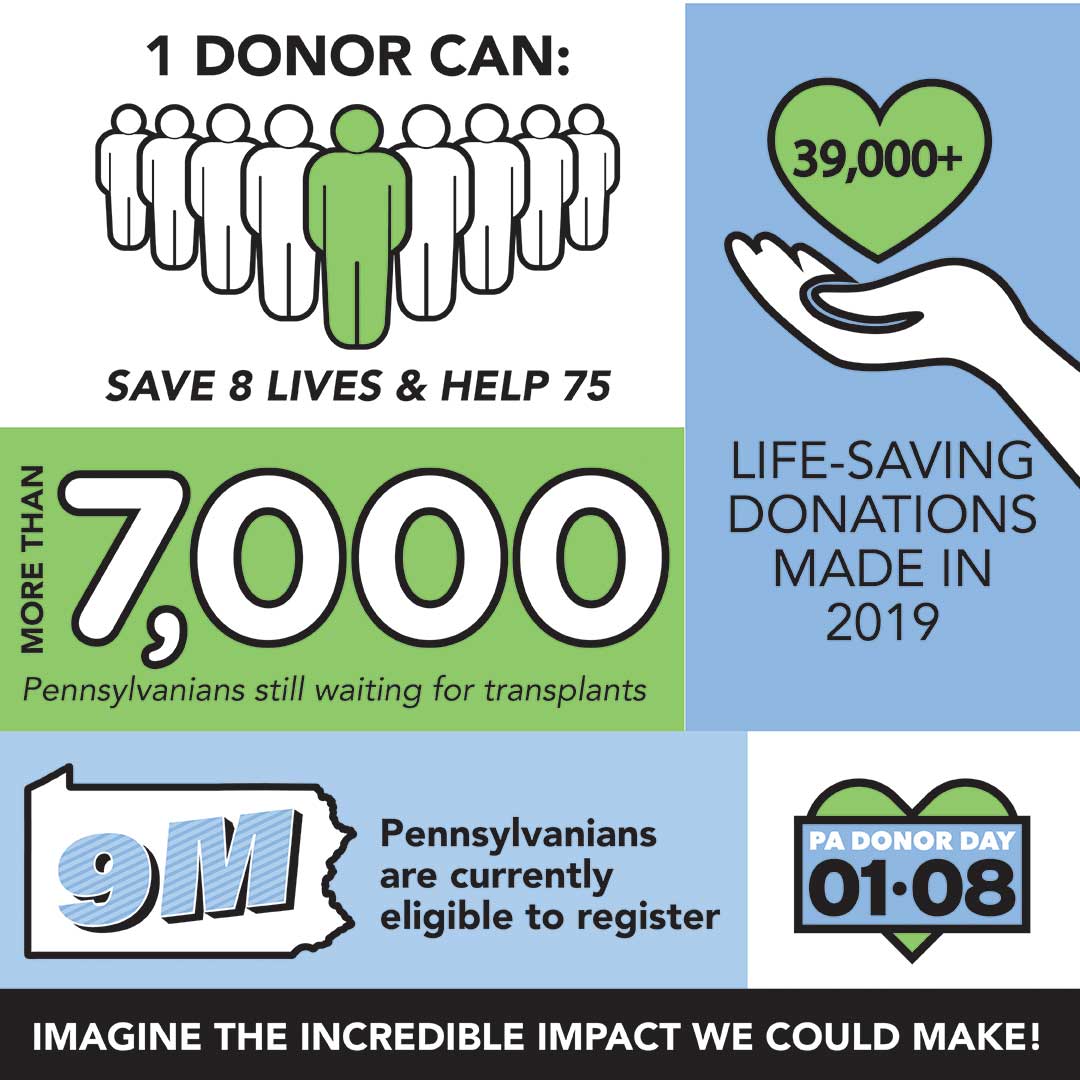 donor infographic